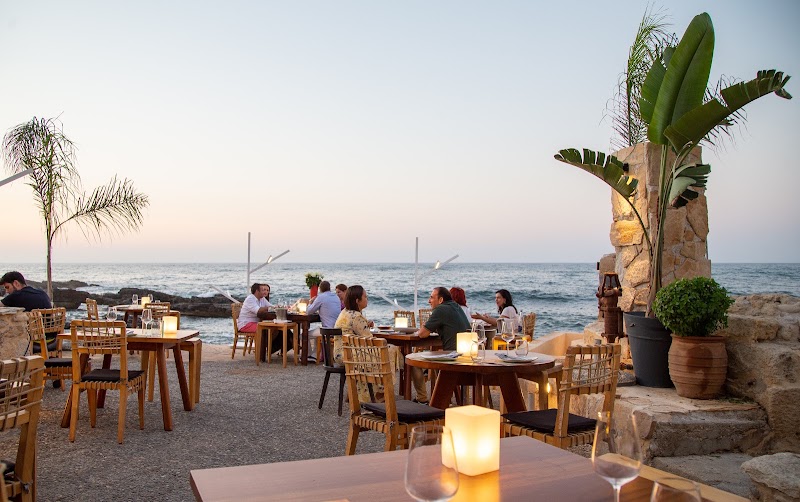 Prima Plora Organic Restaurant & Wine Bar